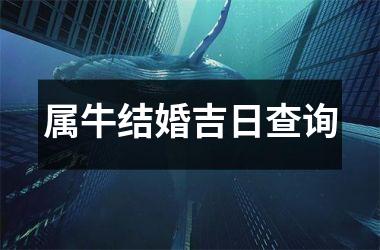 <h3>属牛结婚吉日查询