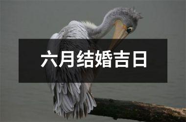 <h3>六月结婚吉日