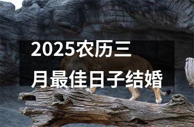 <h3>2025农历三月最佳日子结婚