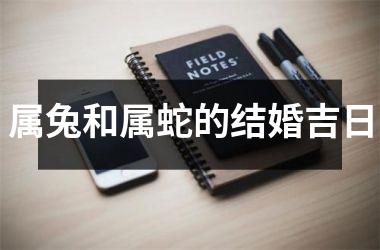 <h3>属兔和属蛇的结婚吉日