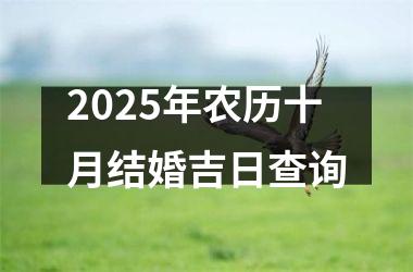 <h3>2025年农历十月结婚吉日查询