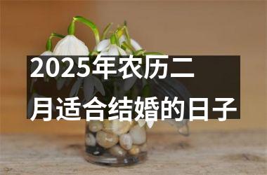 <h3>2025年农历二月适合结婚的日子