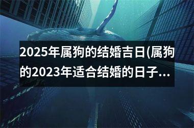 <h3>2025年属狗的结婚吉日(属狗的2023年适合结婚的日子)