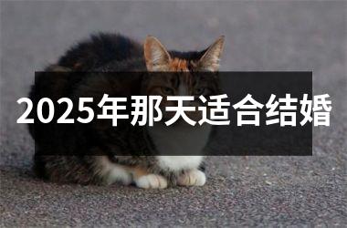 <h3>2025年那天适合结婚