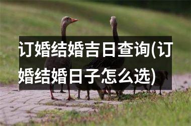 <h3>订婚结婚吉日查询(订婚结婚日子怎么选)
