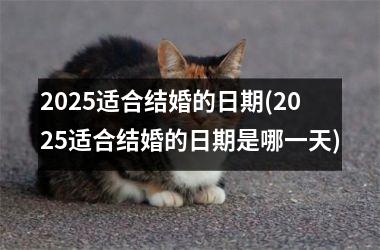 2025适合结婚的日期(2025适合结婚的日期是哪一天)