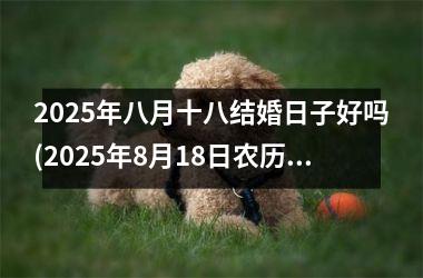 <h3>2025年八月十八结婚日子好吗(2025年8月18日农历是多少)