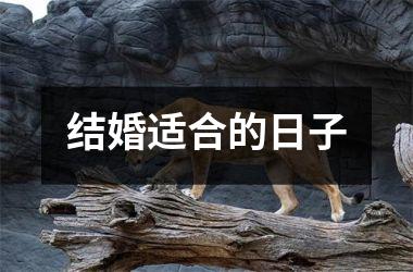 <h3>结婚适合的日子
