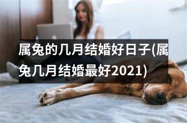 属兔的几月结婚好日子(属兔几月结婚最好2021)