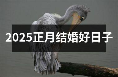 <h3>2025正月结婚好日子
