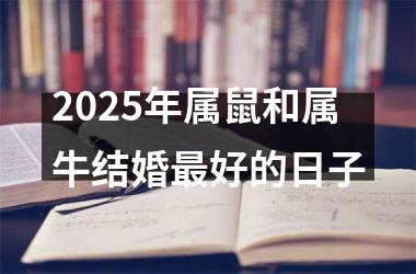 <h3>2025年属鼠和属牛结婚最好的日子