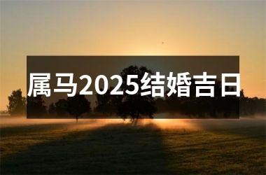 <h3>属马2025结婚吉日