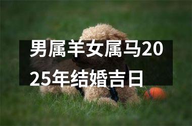 <h3>男属羊女属马2025年结婚吉日
