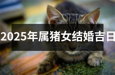 <h3>2025年属猪女结婚吉日