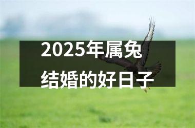<h3>2025年属兔结婚的好日子