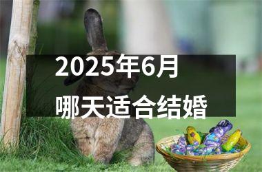 <h3>2025年6月哪天适合结婚