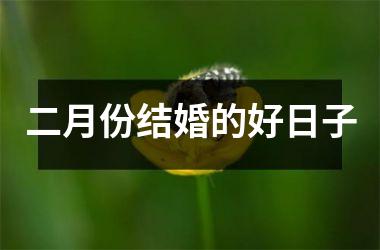 <h3>二月份结婚的好日子