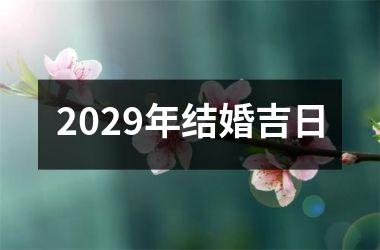 <h3>2029年结婚吉日