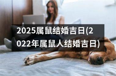 <h3>2025属鼠结婚吉日(2022年属鼠人结婚吉日)