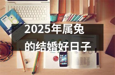 2025年属兔的结婚好日子