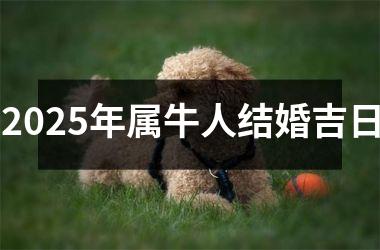 <h3>2025年属牛人结婚吉日