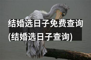 <h3>结婚选日子免费查询(结婚选日子查询)