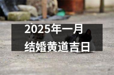 <h3>2025年一月结婚黄道吉日