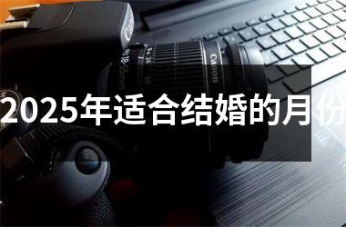 <h3>2025年适合结婚的月份