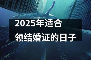 <h3>2025年适合领结婚证的日子