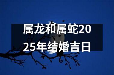 <h3>属龙和属蛇2025年结婚吉日