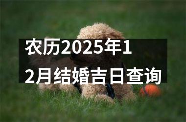 <h3>农历2025年12月结婚吉日查询
