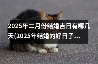 <h3>2025年二月份结婚吉日有哪几天(2025年结婚的好日子)