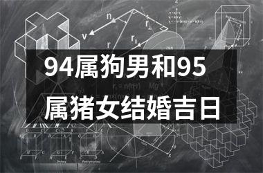 <h3>94属狗男和95属猪女结婚吉日
