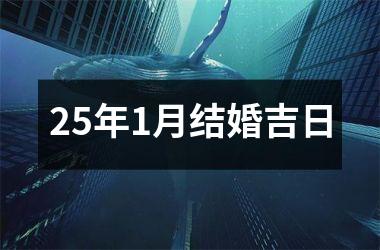 25年1月结婚吉日