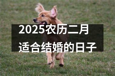 <h3>2025农历二月适合结婚的日子