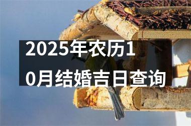 <h3>2025年农历10月结婚吉日查询