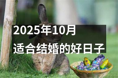 <h3>2025年10月适合结婚的好日子