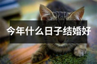 <h3>今年什么日子结婚好