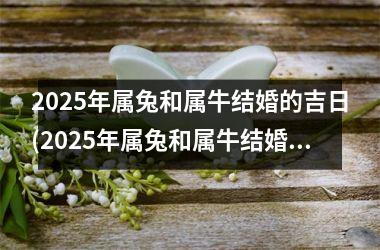 <h3>2025年属兔和属牛结婚的吉日(2025年属兔和属牛结婚的吉日有哪些)