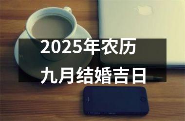 <h3>2025年农历九月结婚吉日