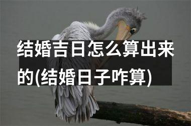 <h3>结婚吉日怎么算出来的(结婚日子咋算)