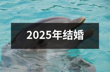 <h3>2025年结婚
