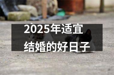 <h3>2025年适宜结婚的好日子