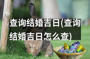 <h3>查询结婚吉日(查询结婚吉日怎么查)