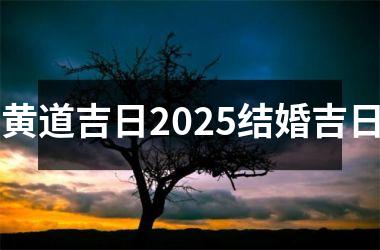 <h3>黄道吉日2025结婚吉日