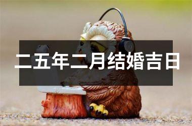 <h3>二五年二月结婚吉日