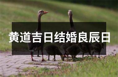 <h3>黄道吉日结婚良辰日