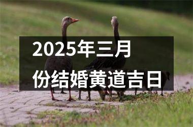 <h3>2025年三月份结婚黄道吉日