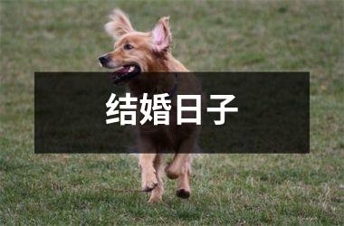 结婚日子