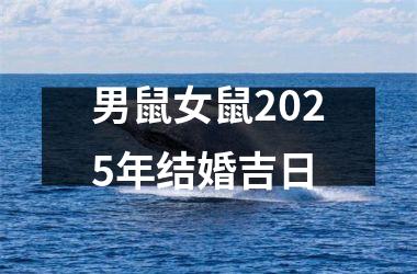<h3>男鼠女鼠2025年结婚吉日